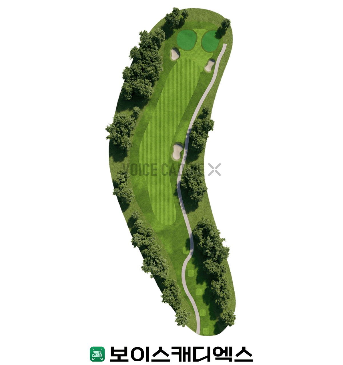 Course 코스