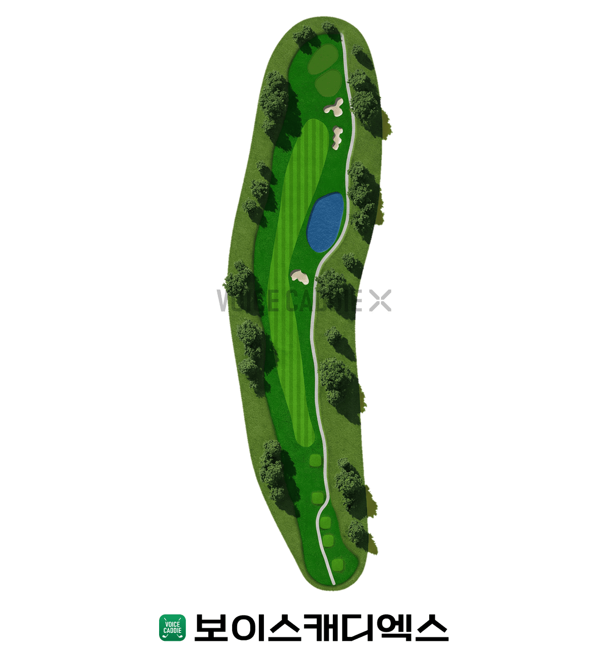 Course 코스