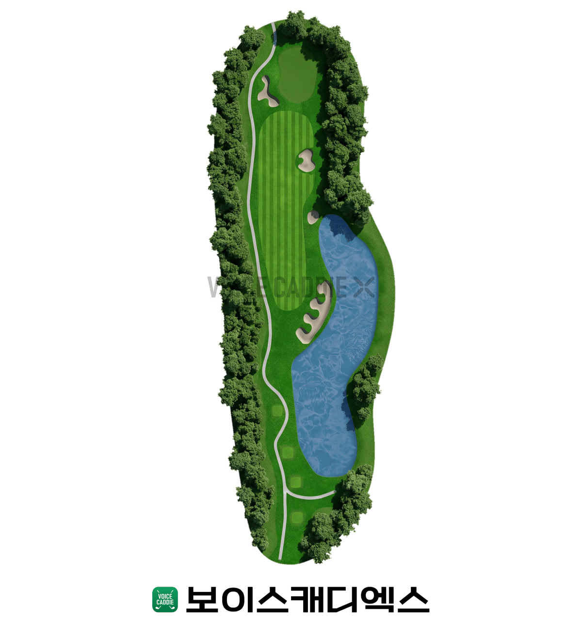 Course 코스