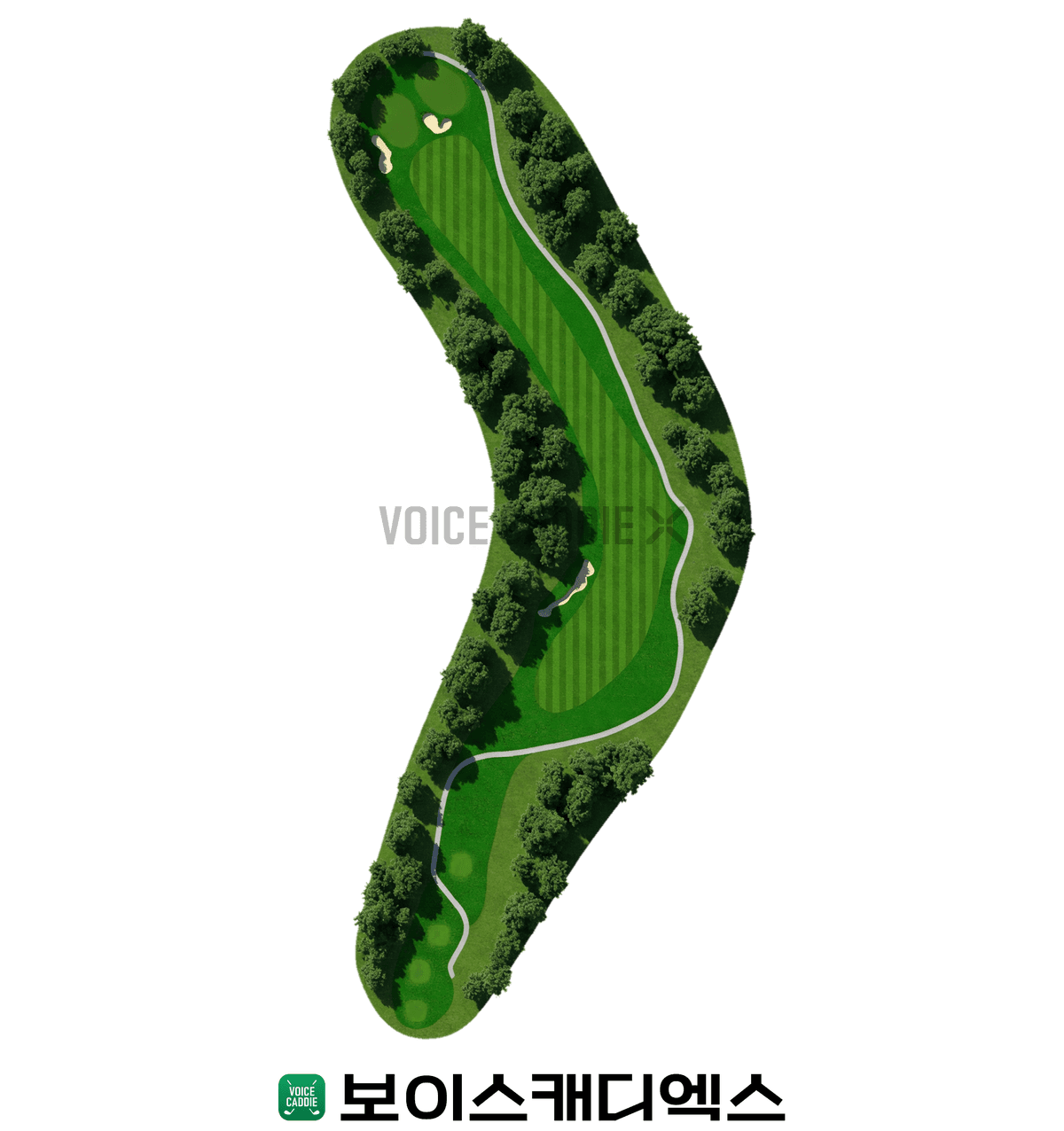 Tiger 코스