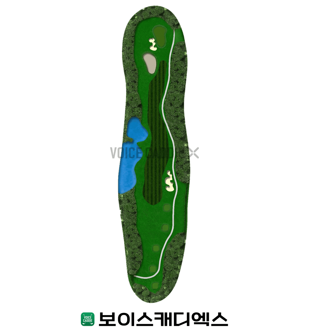 Course 코스