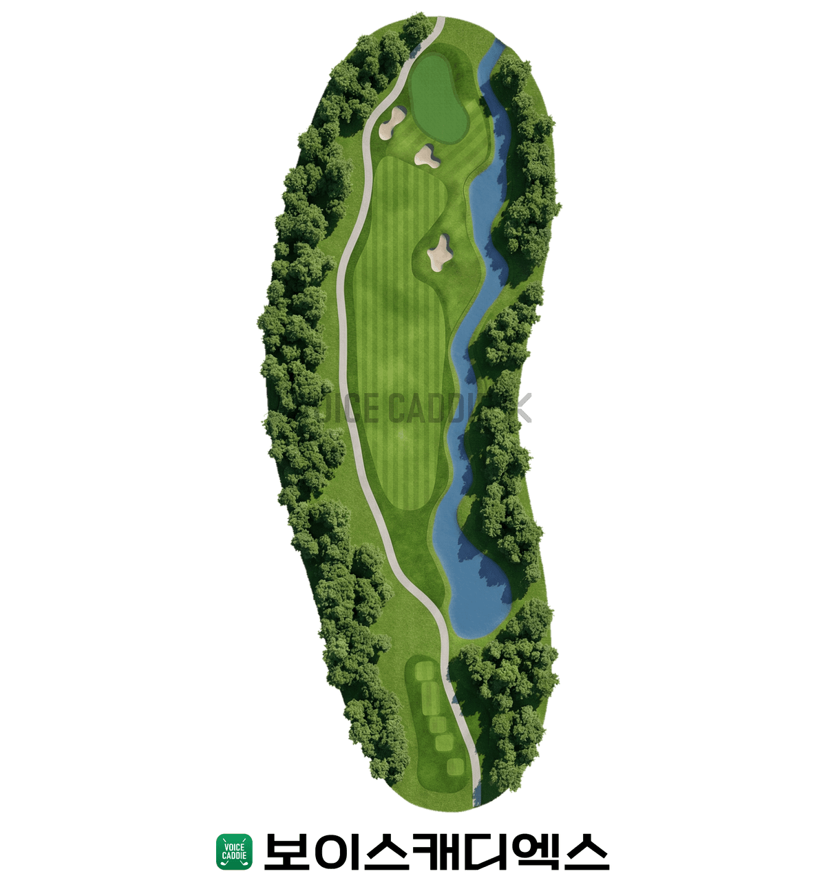 Course 코스