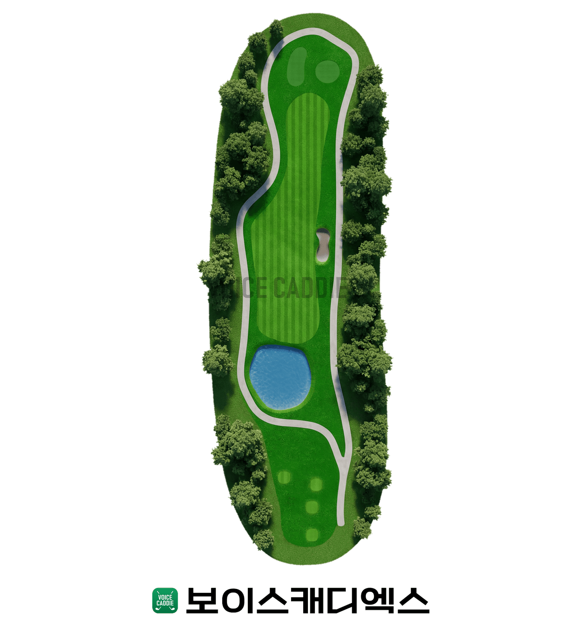 Course 코스