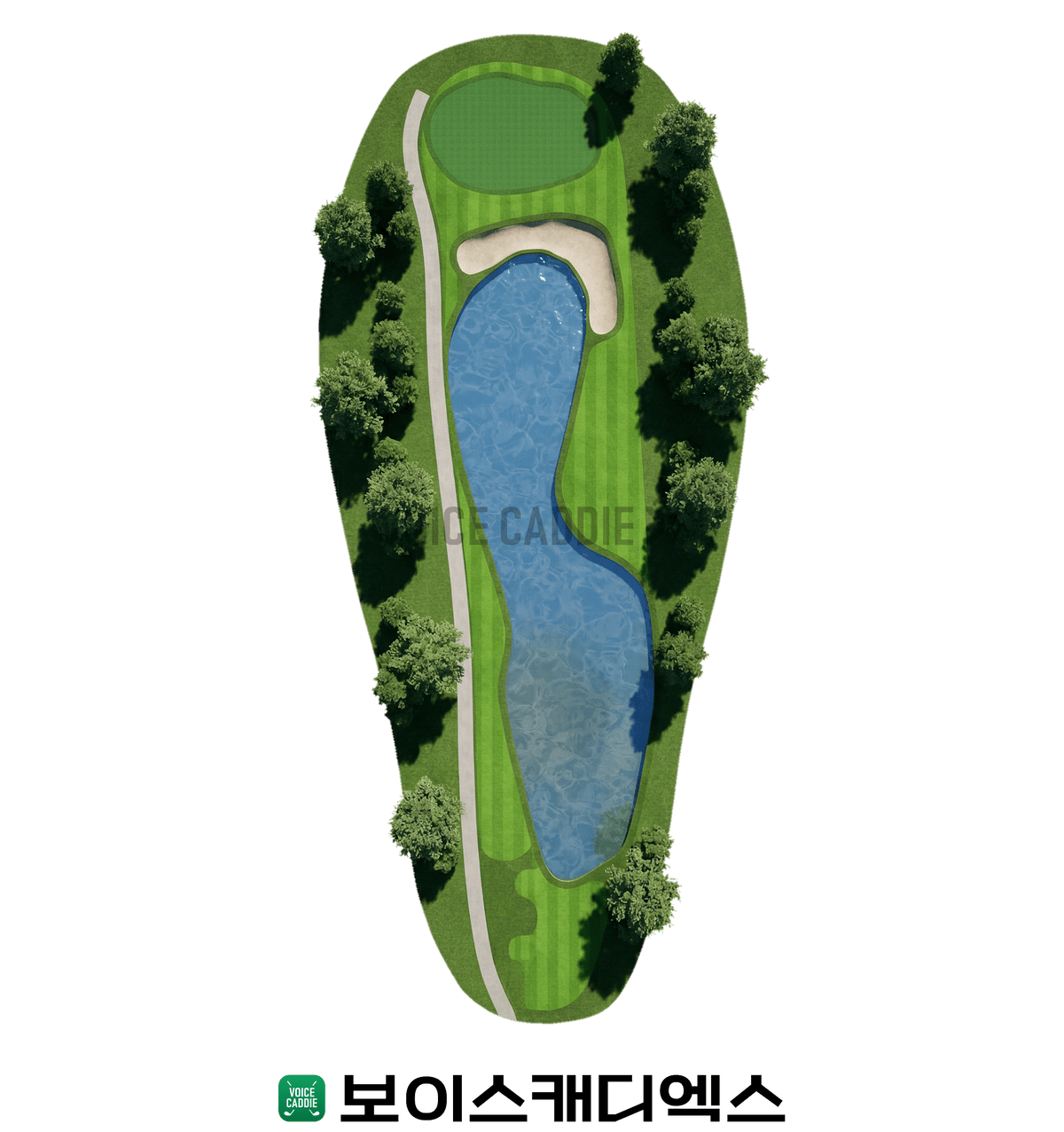Course 코스