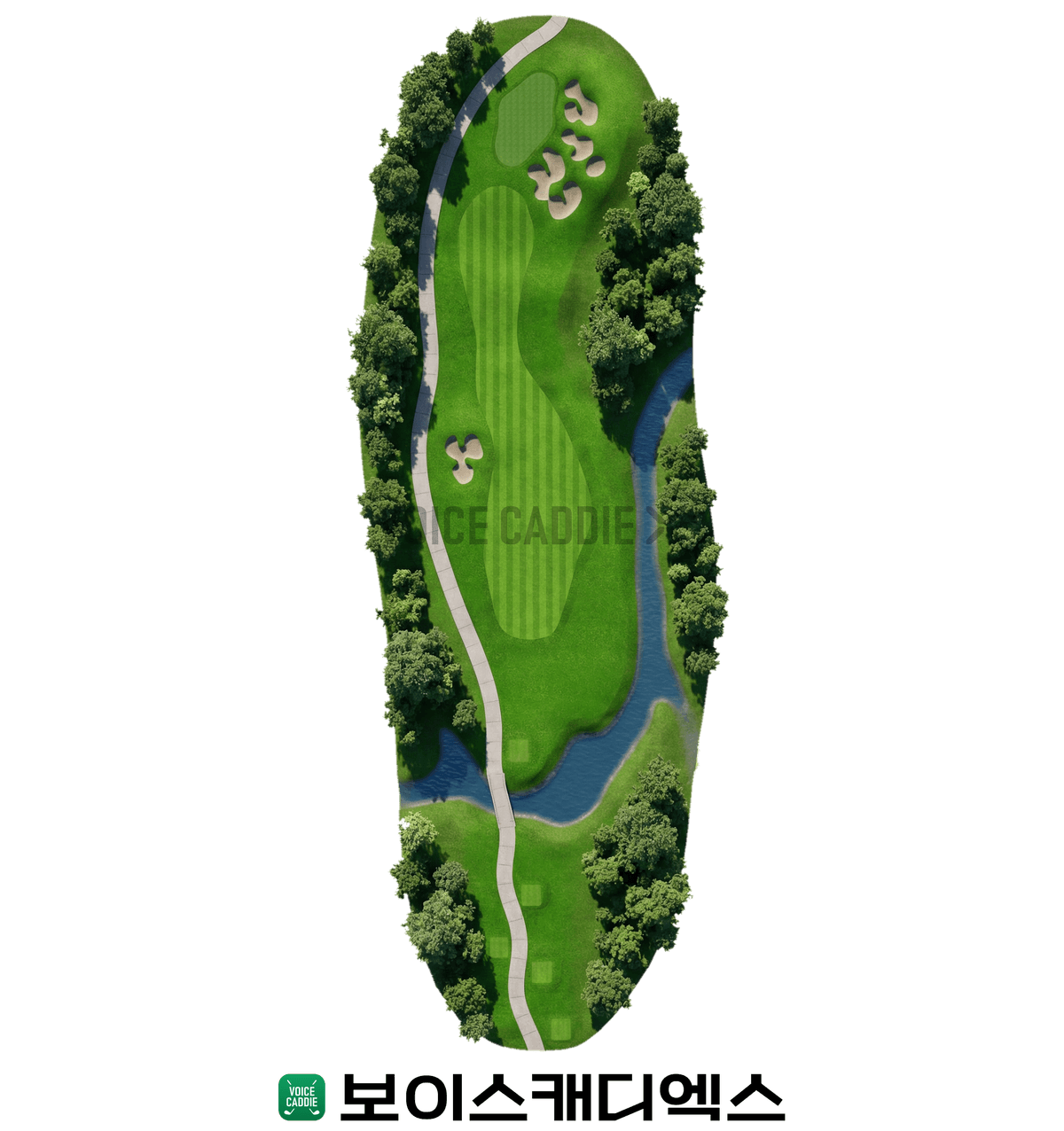 Course 코스