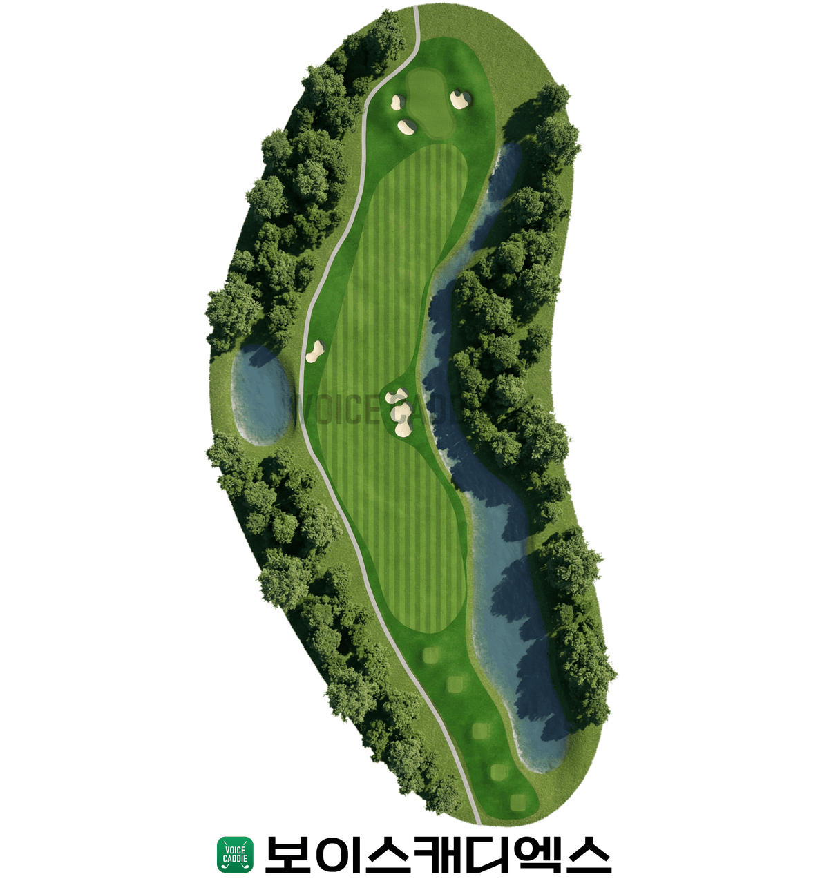 Course 코스