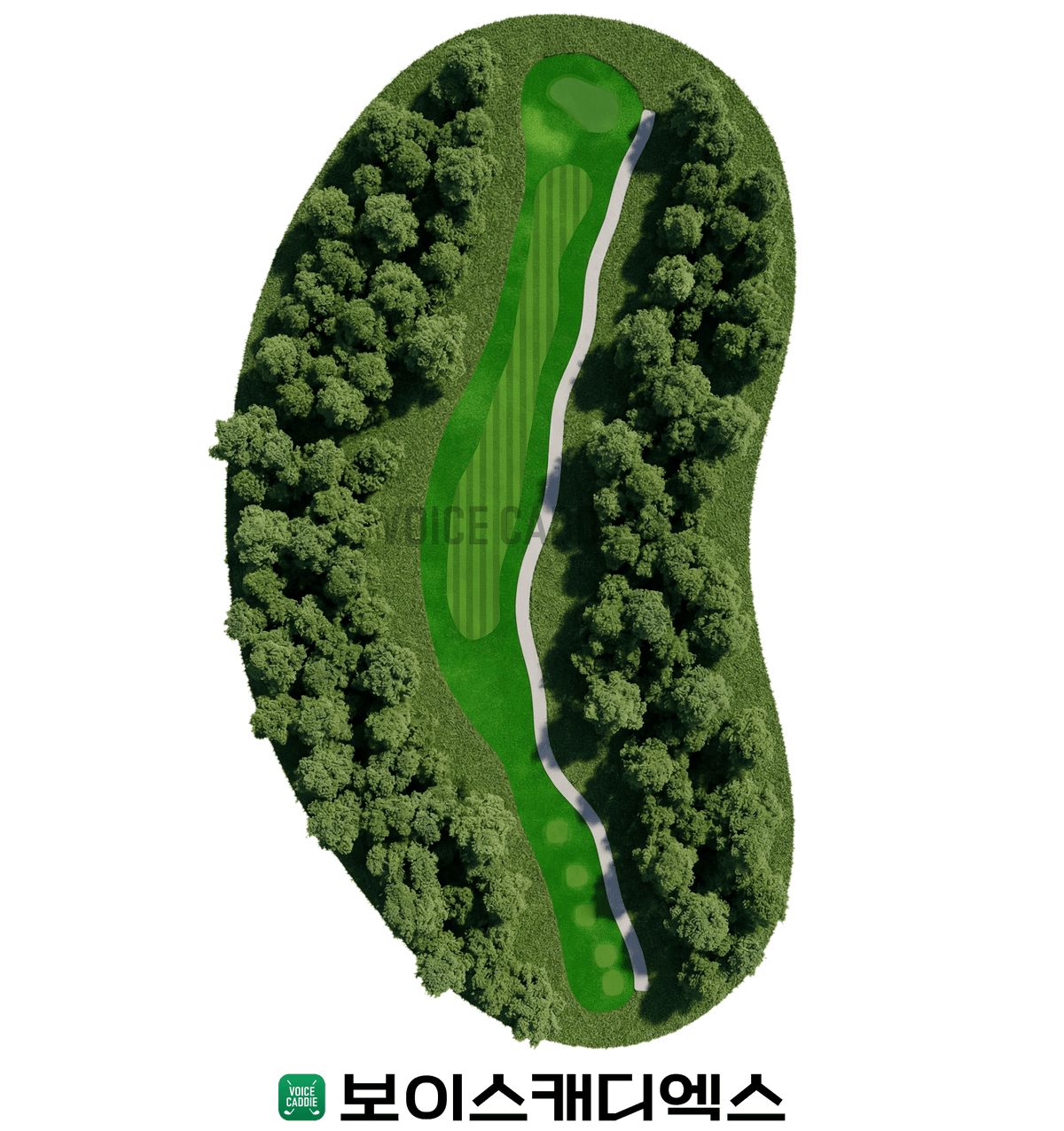 Course 코스