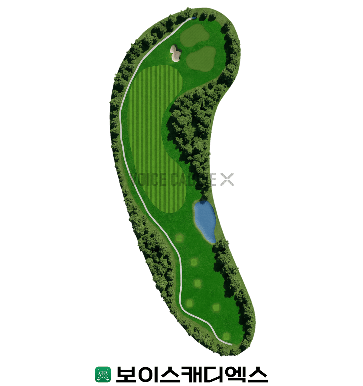 Course 코스