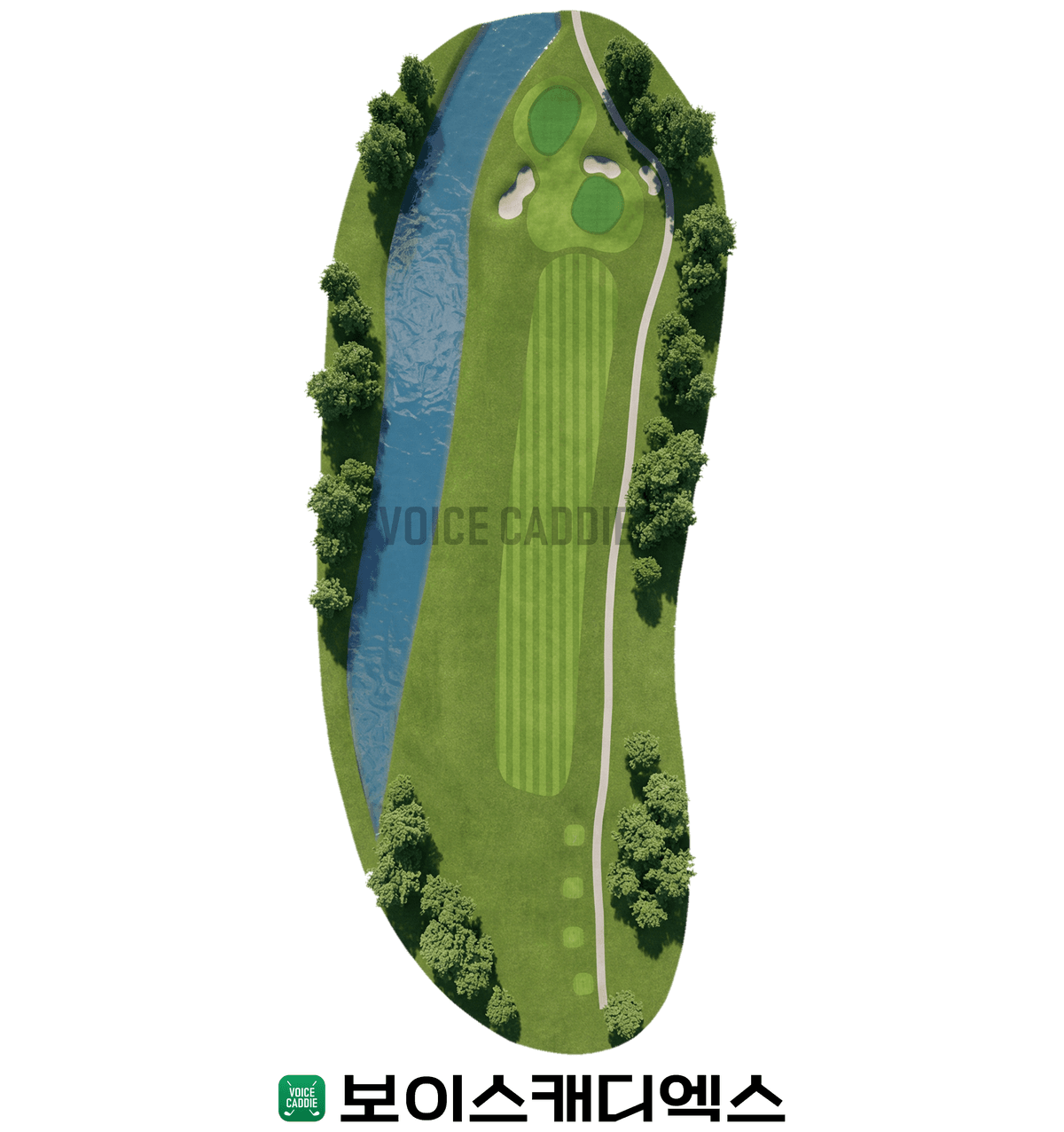 Course 코스