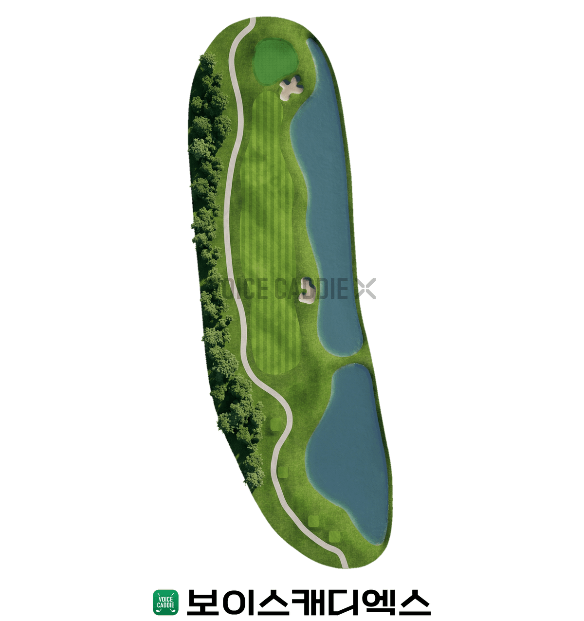 Course 코스