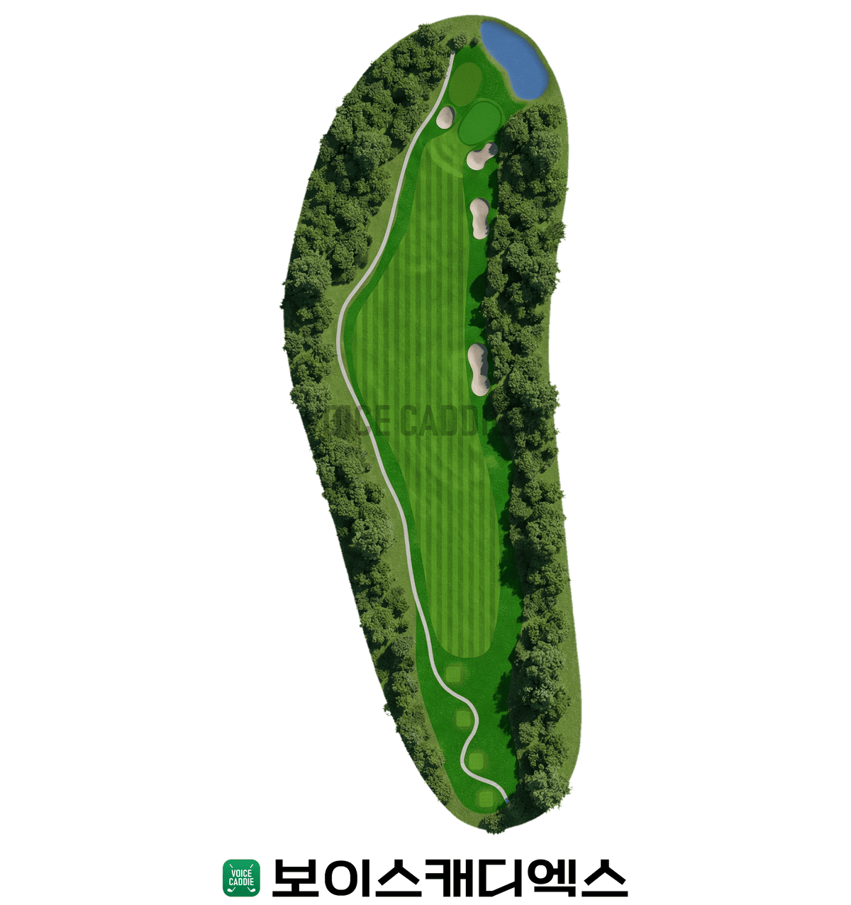Course 코스