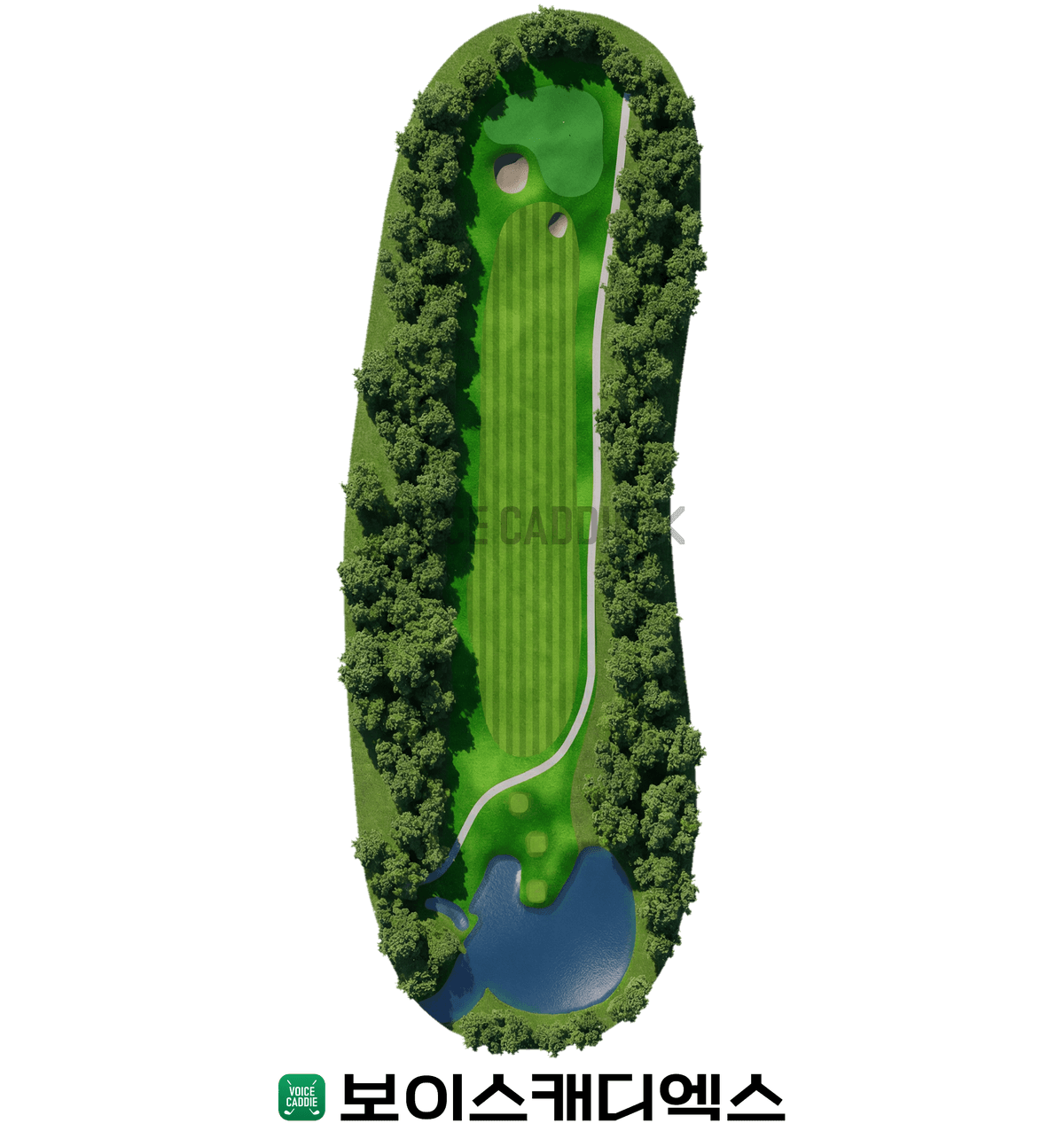 Course 코스