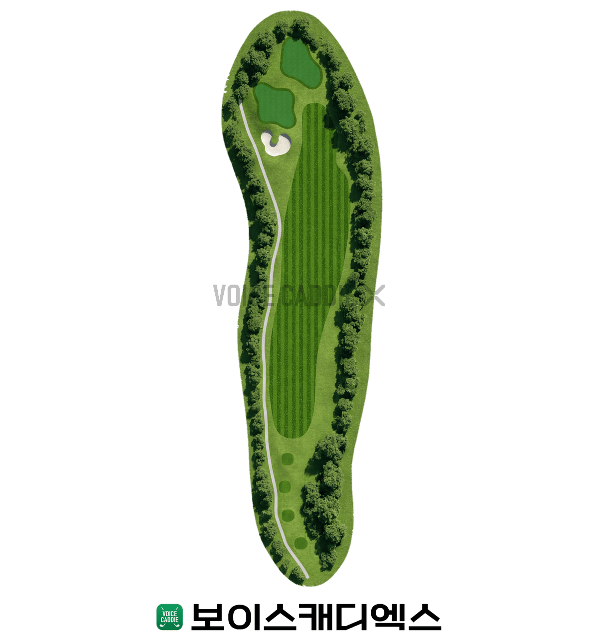 Course 코스
