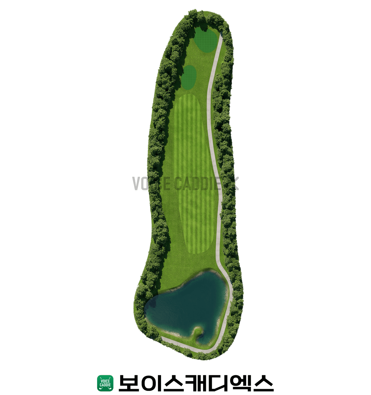 Course 코스
