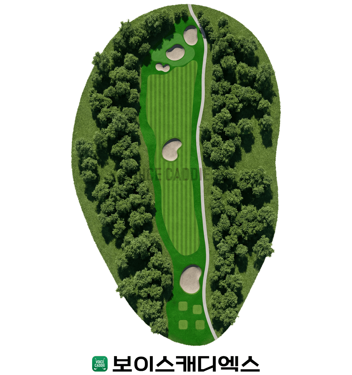 Course 코스