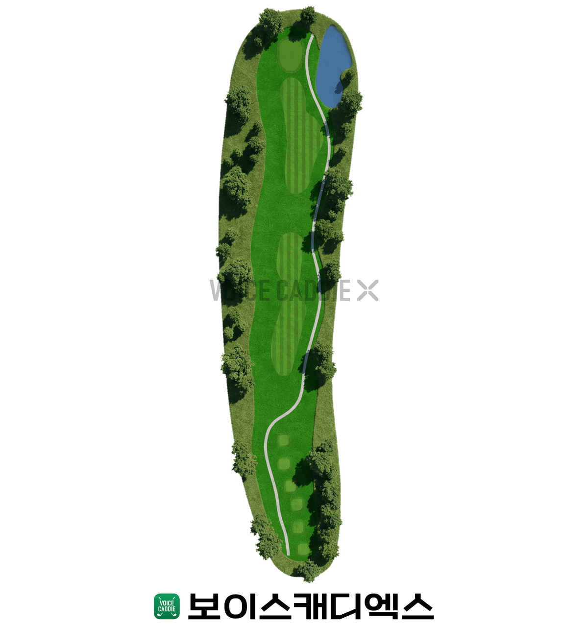 Course 코스