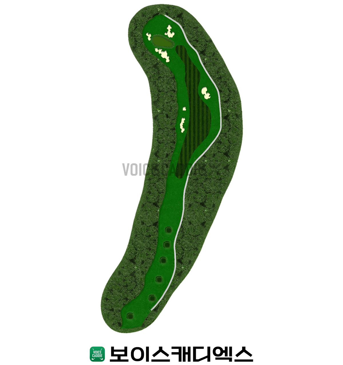 Course 코스
