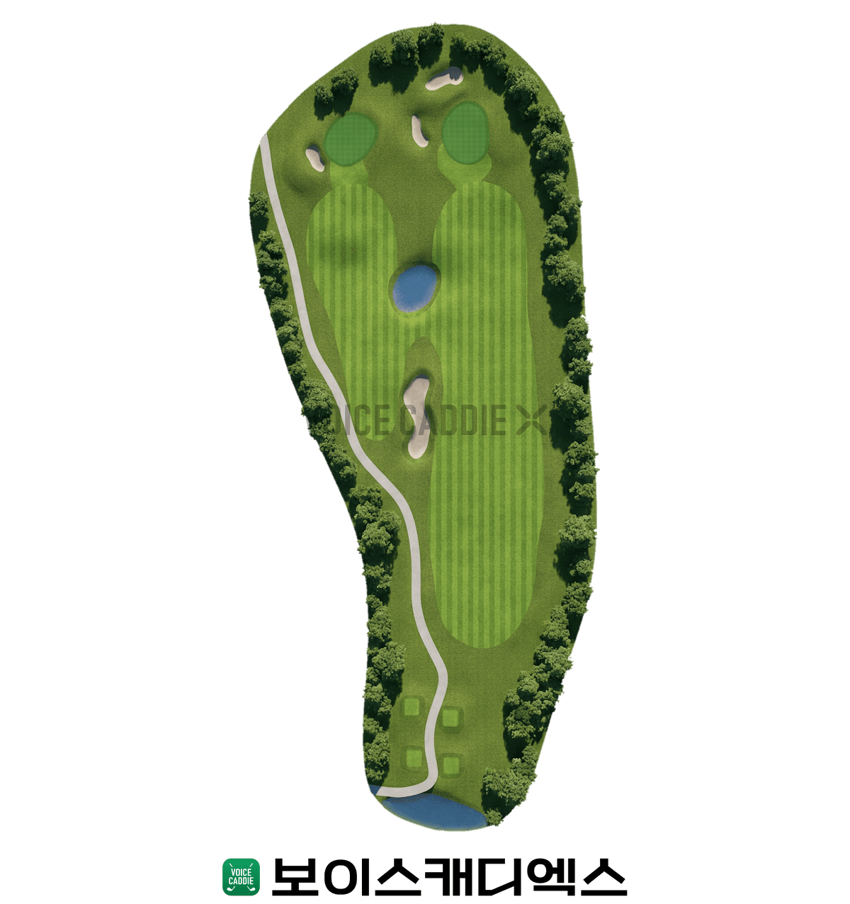 Course 코스