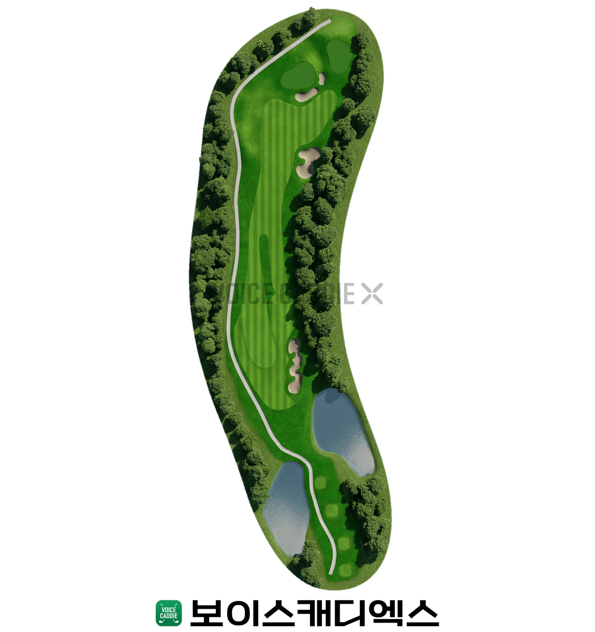 Course 코스