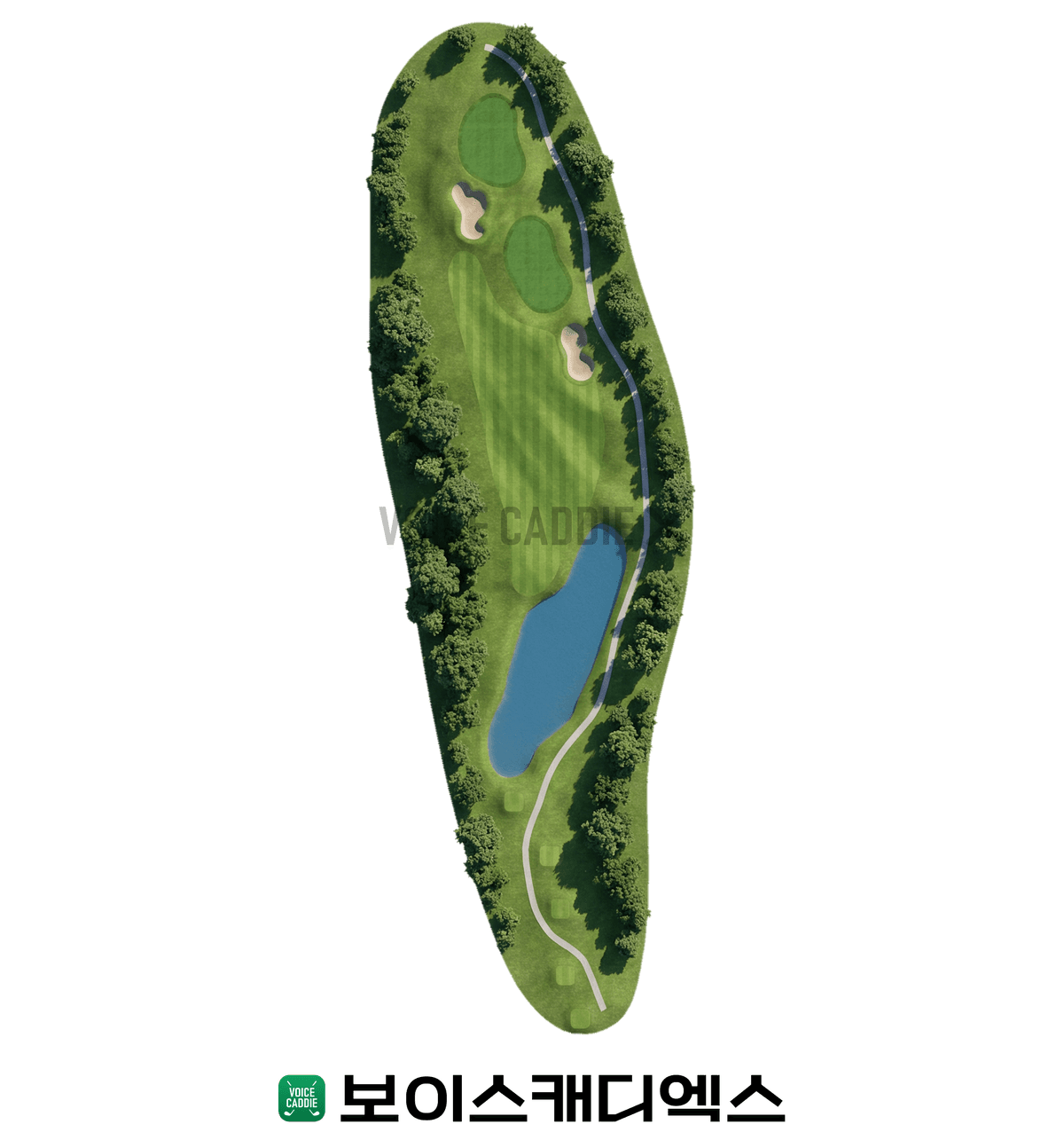 Course 코스
