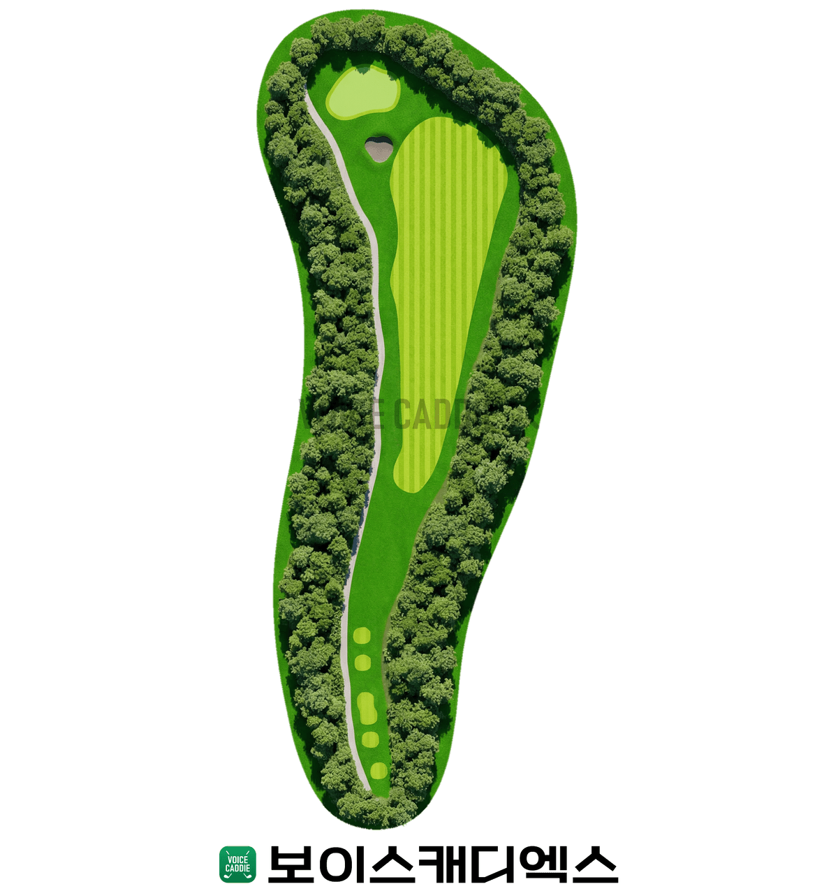 퍼블릭 코스
