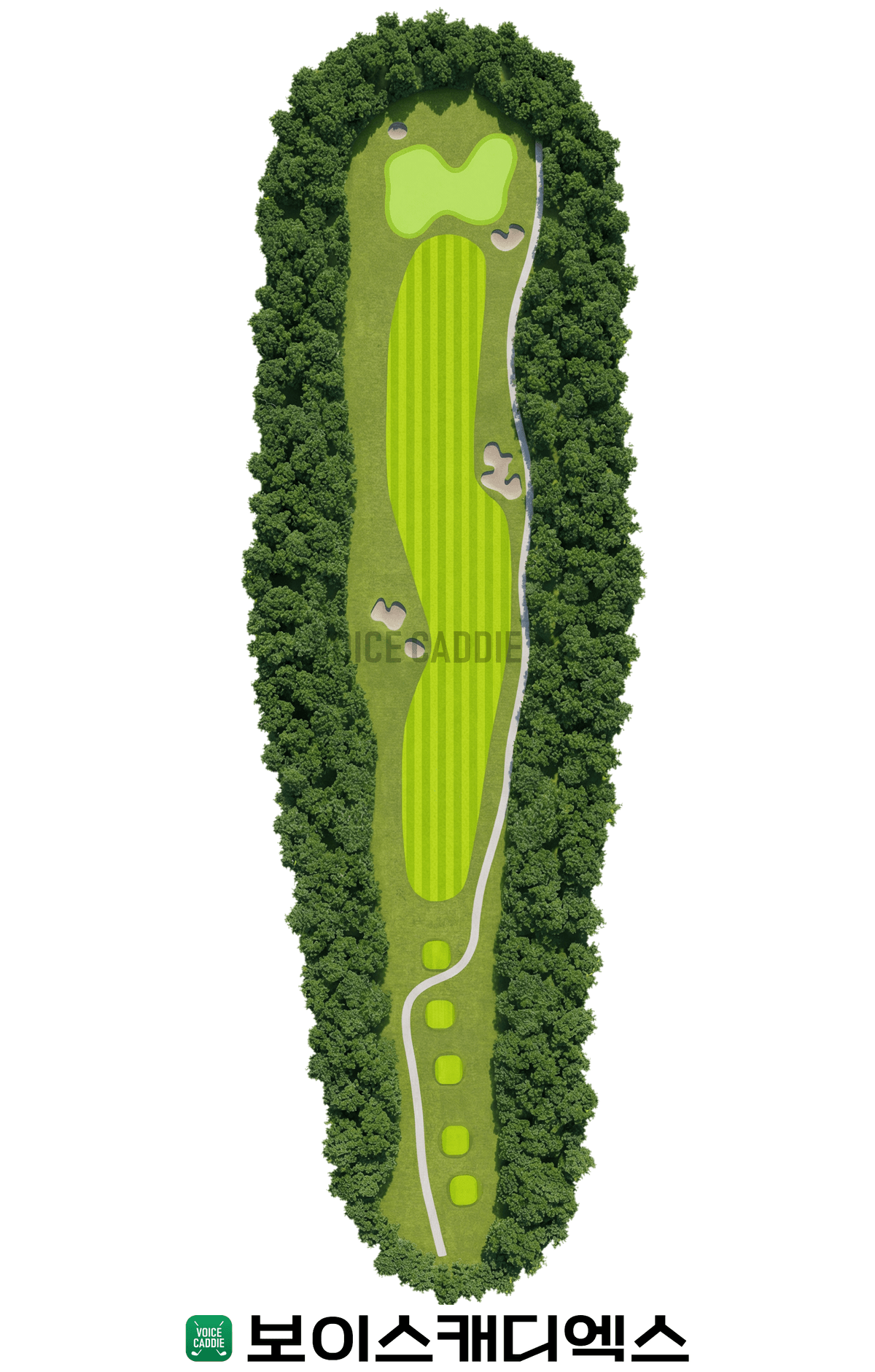 Course 코스