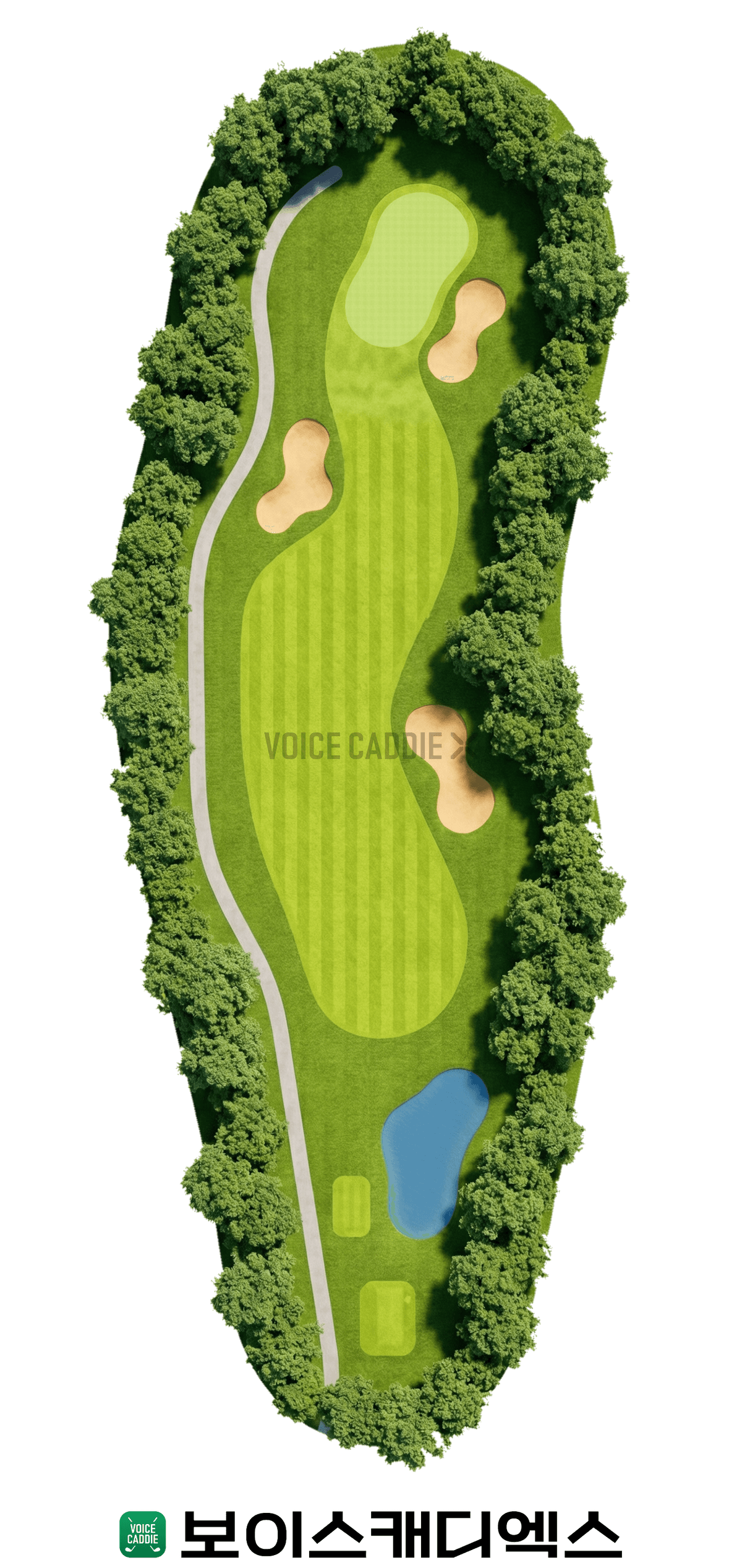 Course 코스