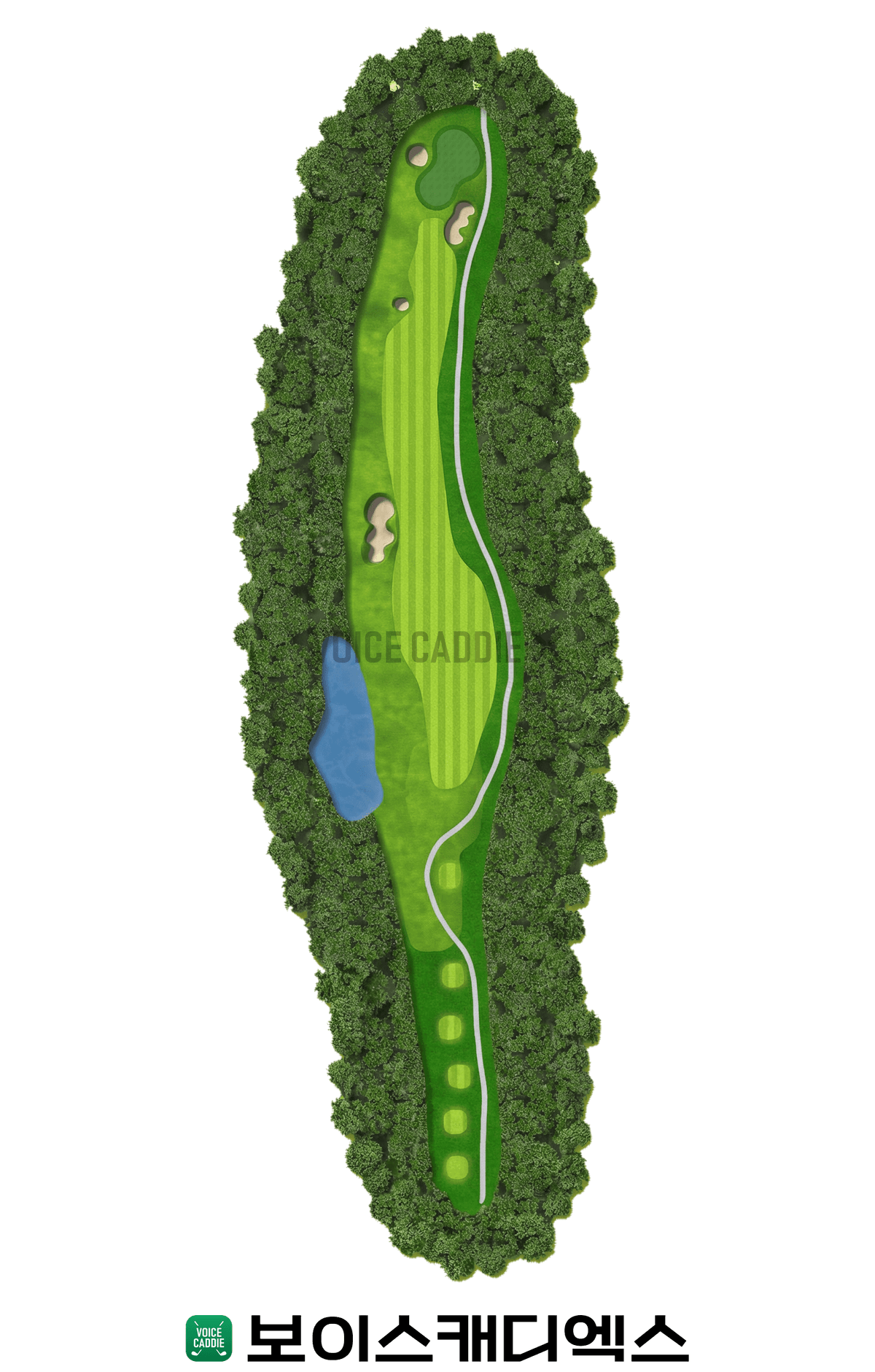 Course 코스