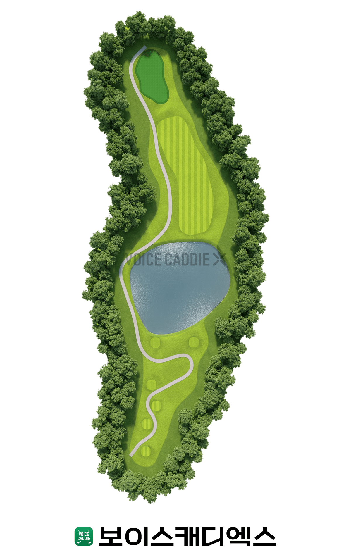 Course 코스