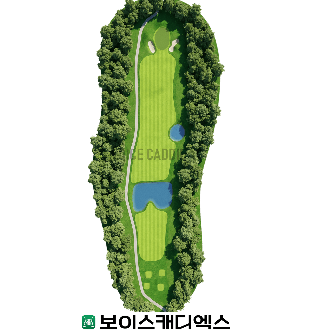 Course 코스