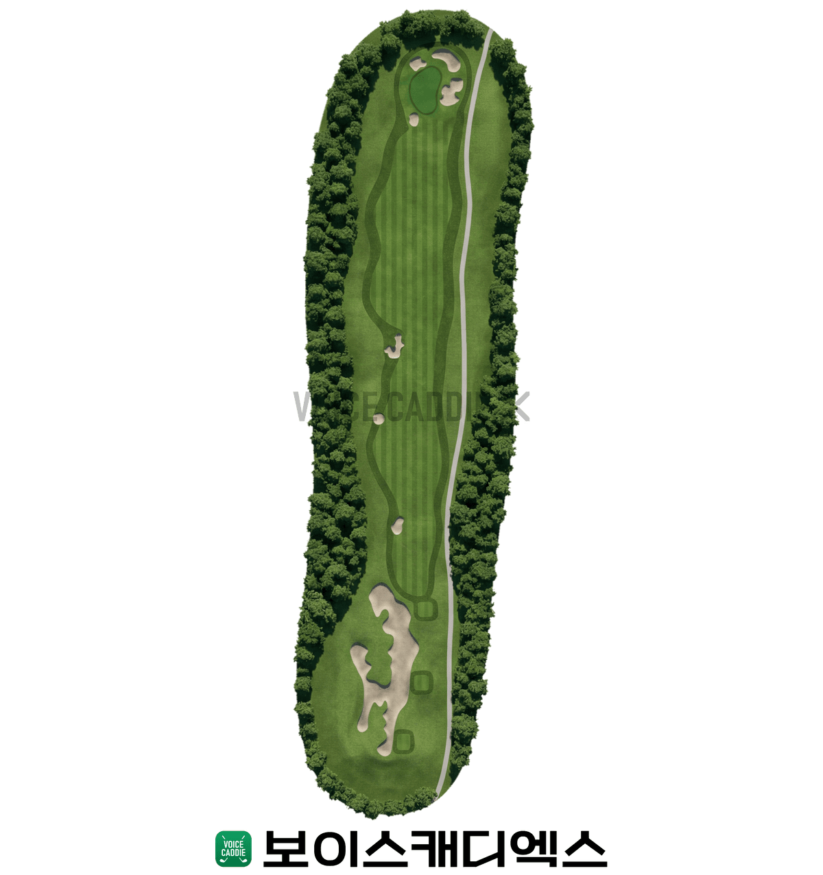 카일 필립스 B 코스