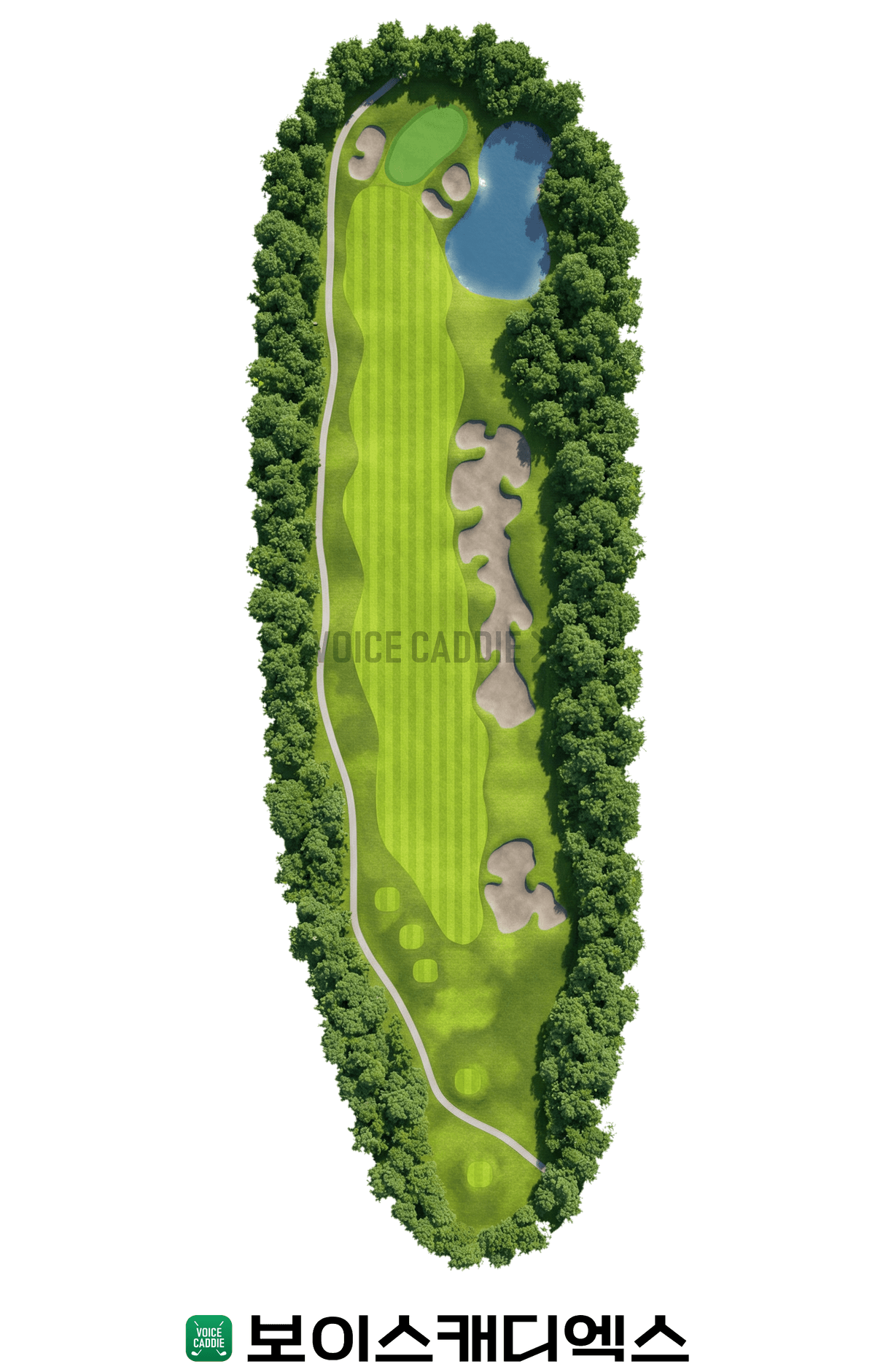 Woods 코스