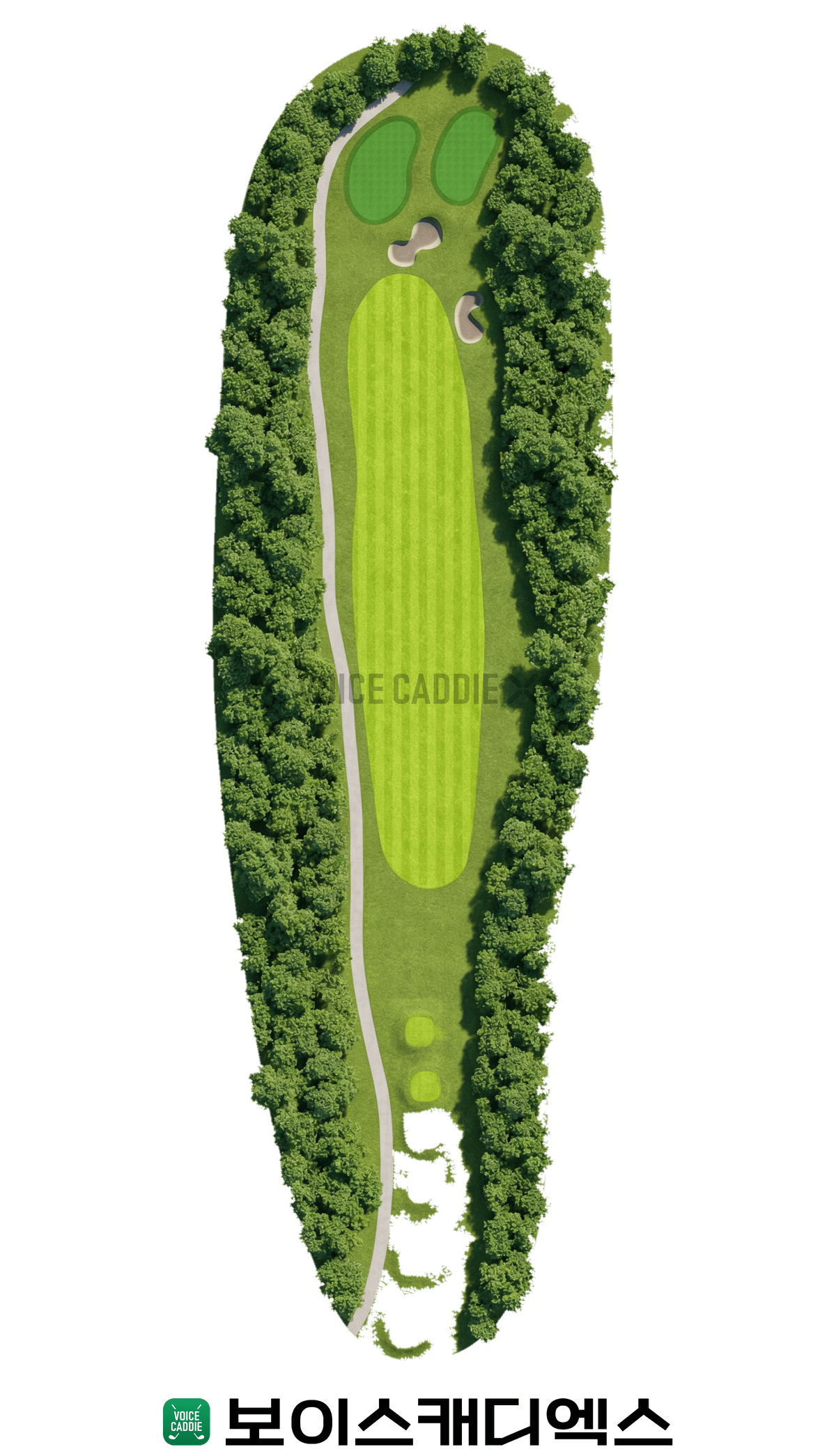 Course 코스
