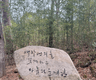 국토정벌 프로필