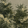 프로FFNRDLQO 프로필