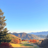 황망고샷 프로필