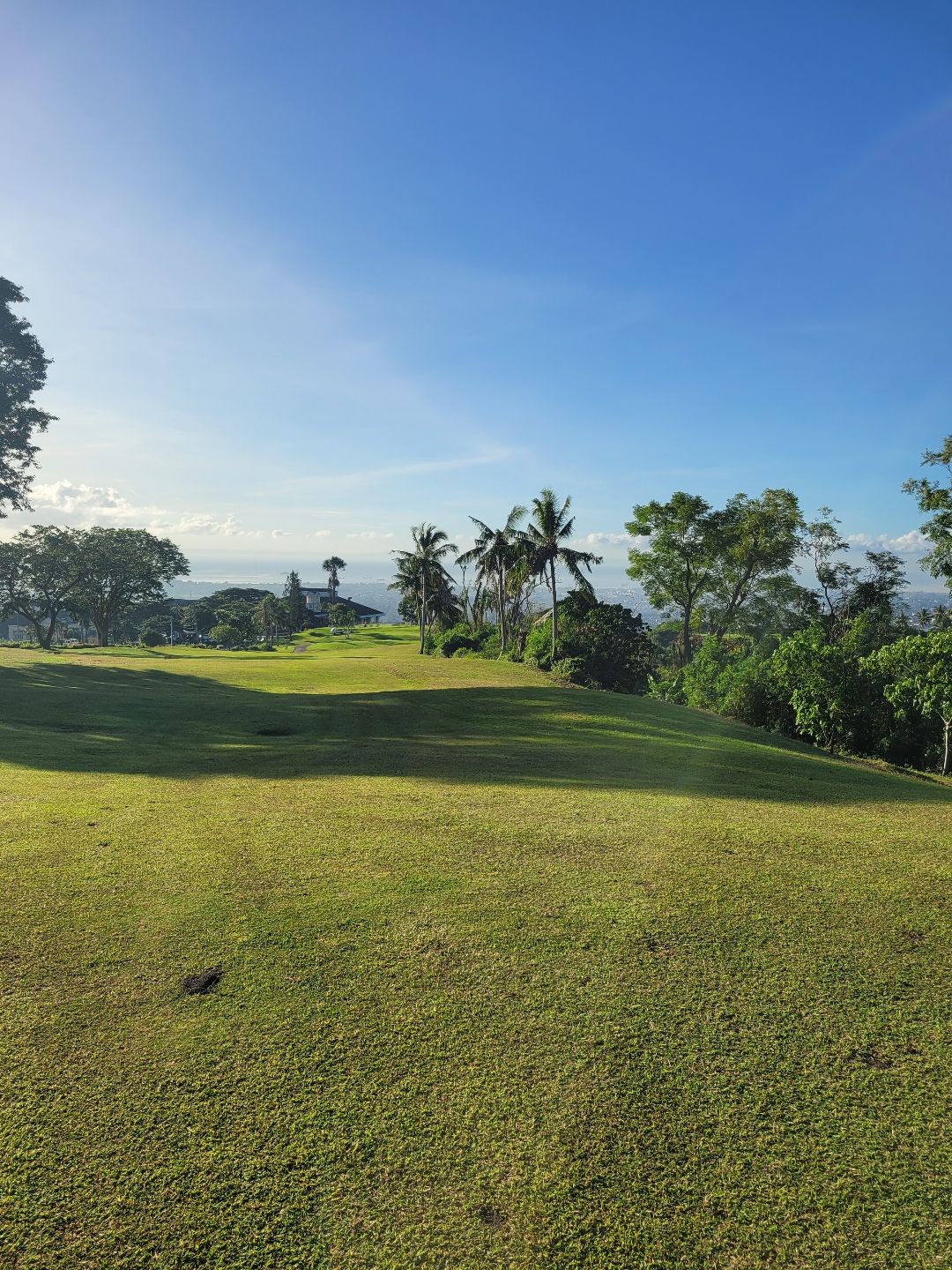Alta Vista CC 이미지 2