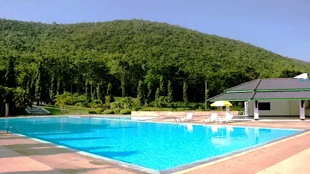 에버그린 CC 이미지 1