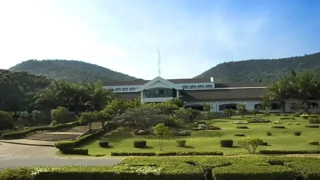 에버그린 CC 이미지 2