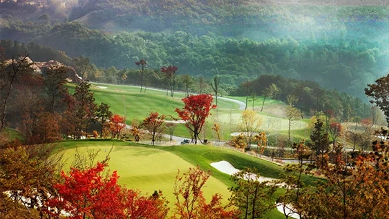 360도 CC 여주 이미지 2