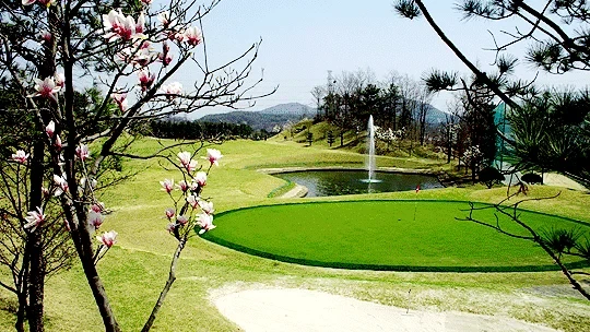 라비돌 CC 이미지 3