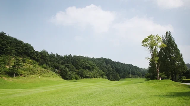 시그너스 CC 이미지 6