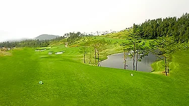 함평엘리체 CC 이미지 4