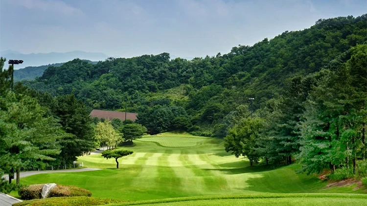 블루원 용인 CC 이미지 3