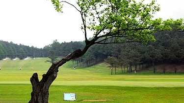 청주 공군체력단련장 이미지 2