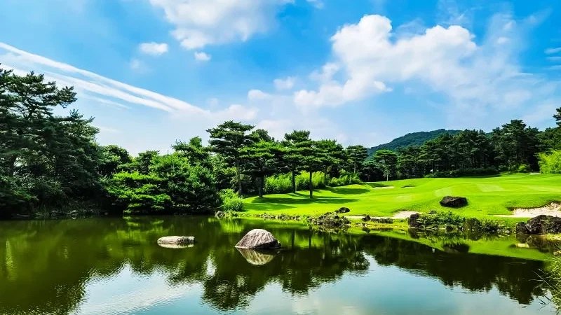 블루헤런 CC 이미지 1