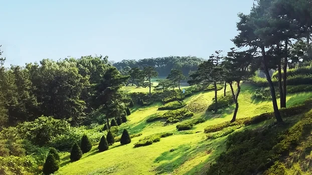 이천 비승대 육군체력단련장 이미지 4