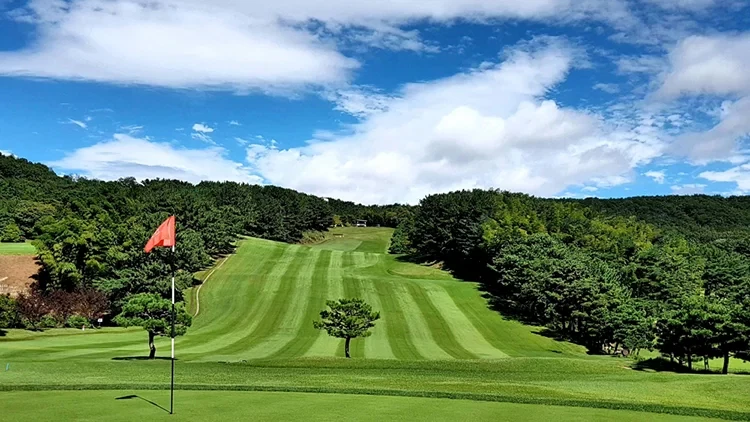 부산 CC 이미지 2