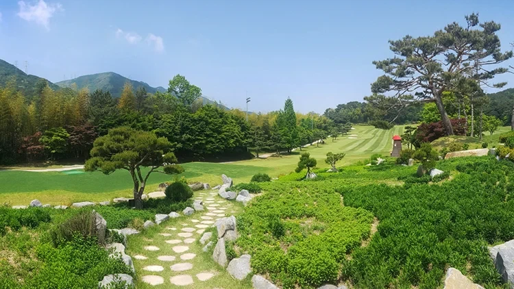 부산 CC 이미지 4