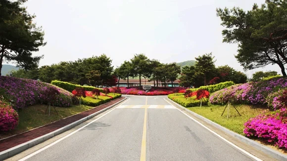자운대 CC 이미지 2